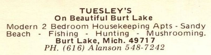 Tuesley Burt Lake Resort (Tuesleys Motel) - Postcard